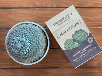 Cao Atiso Mai Quỳnh