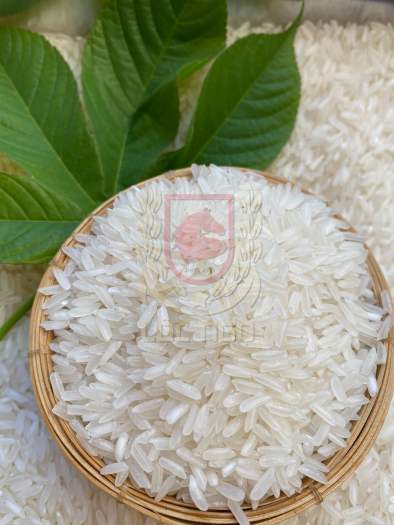 Gạo Đài thơm 8