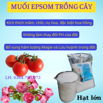 Muối epsom dùng trong nông nghiệp–Giúp xanh lá–tăng sức chịu sâu bệnh -muoi epsom HẠT LỚN ĐẸP