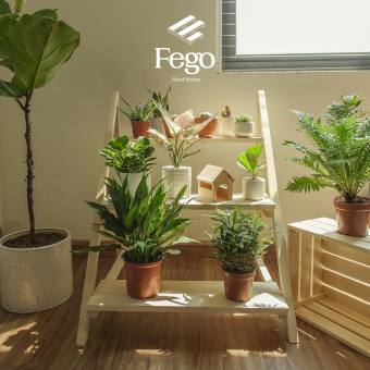 Kệ Để Cây Cảnh 3 Tầng Dạng Bậc Thang Bằng Gỗ Thông Fego Để Trong Nhà, Ngoài Trời