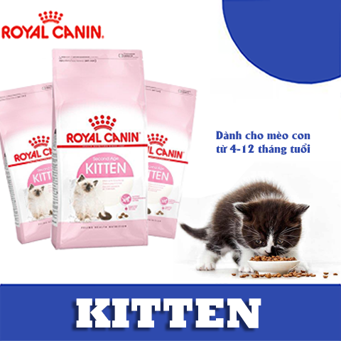 Hạt Royal Canin Kitten Cho Mèo Con|thức ăn cho mèo con|thức ăn hạt fitmin cho mèo|thức ăn cho mèo giá rẻ|thức ăn hữu cơ cho mèo|Thức ăn cho mèo mà rẻ| cám mèo| đồ ăn cho mèo| đồ cho mèo| thức ăn vặt mèo| hạt mèo