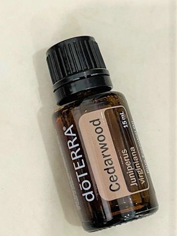 doTERRA Train USB Diffuser limited edition (100% authentic