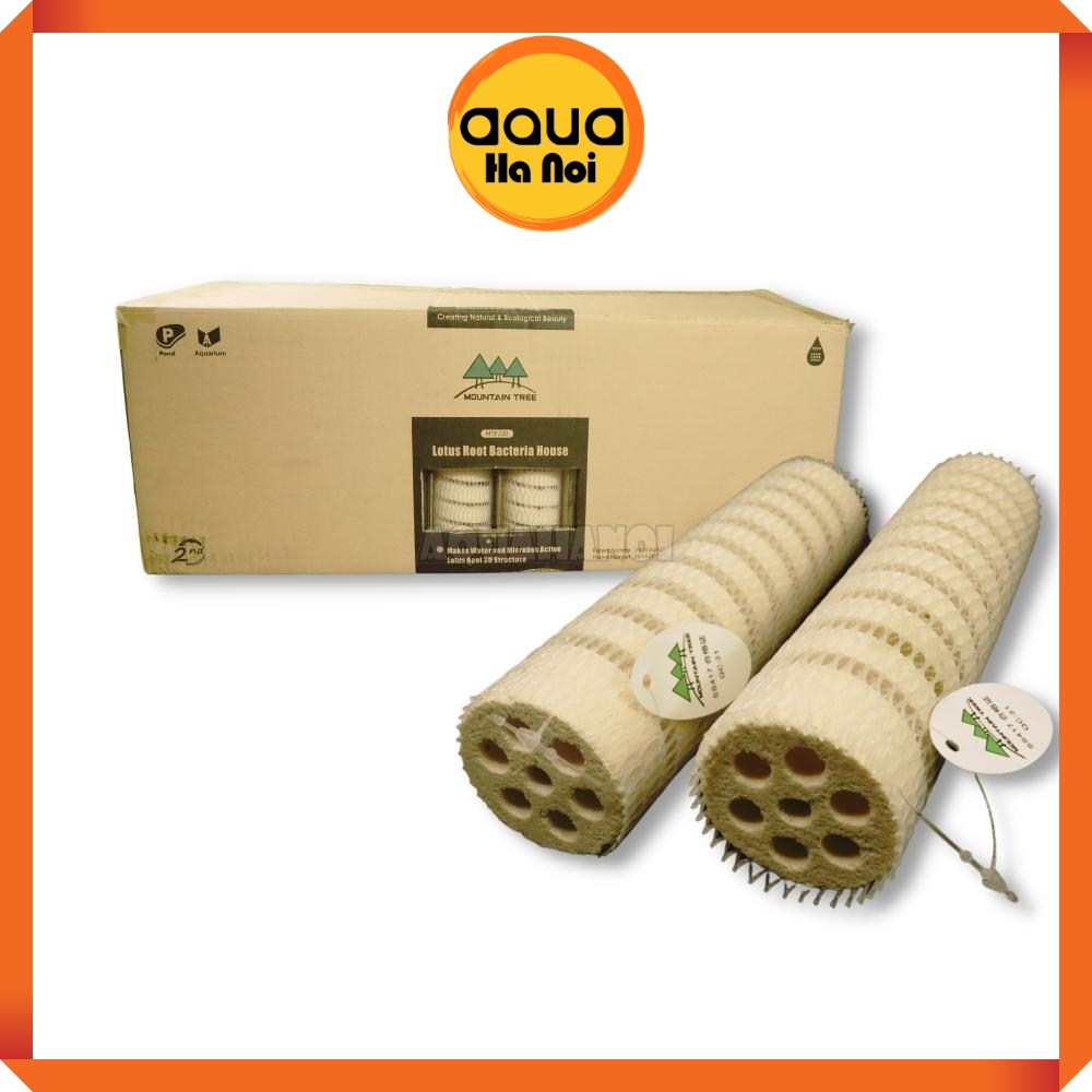Sứ thanh Lottus Mountain Tree 4x16cm - Sứ củ sen xoắn - Vật liệu lọc cao cấp hồ cá Koi, cá rồng, thủy sinh