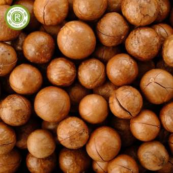 Hạt Macca/Maccadamia Úc  REAL FOOD