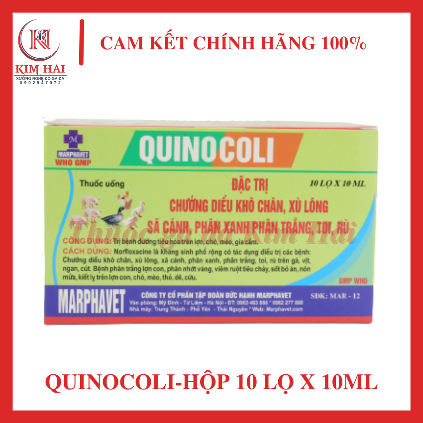 Quinocoli---toi,rù,khô chân,sệ cánh,chướng diều,phân xanh phân trắng cho gà con,gà tơ.