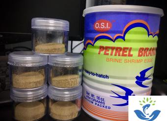 Trứng Artemia Mỹ loại 1, độ nở 95% - Hủ 5g