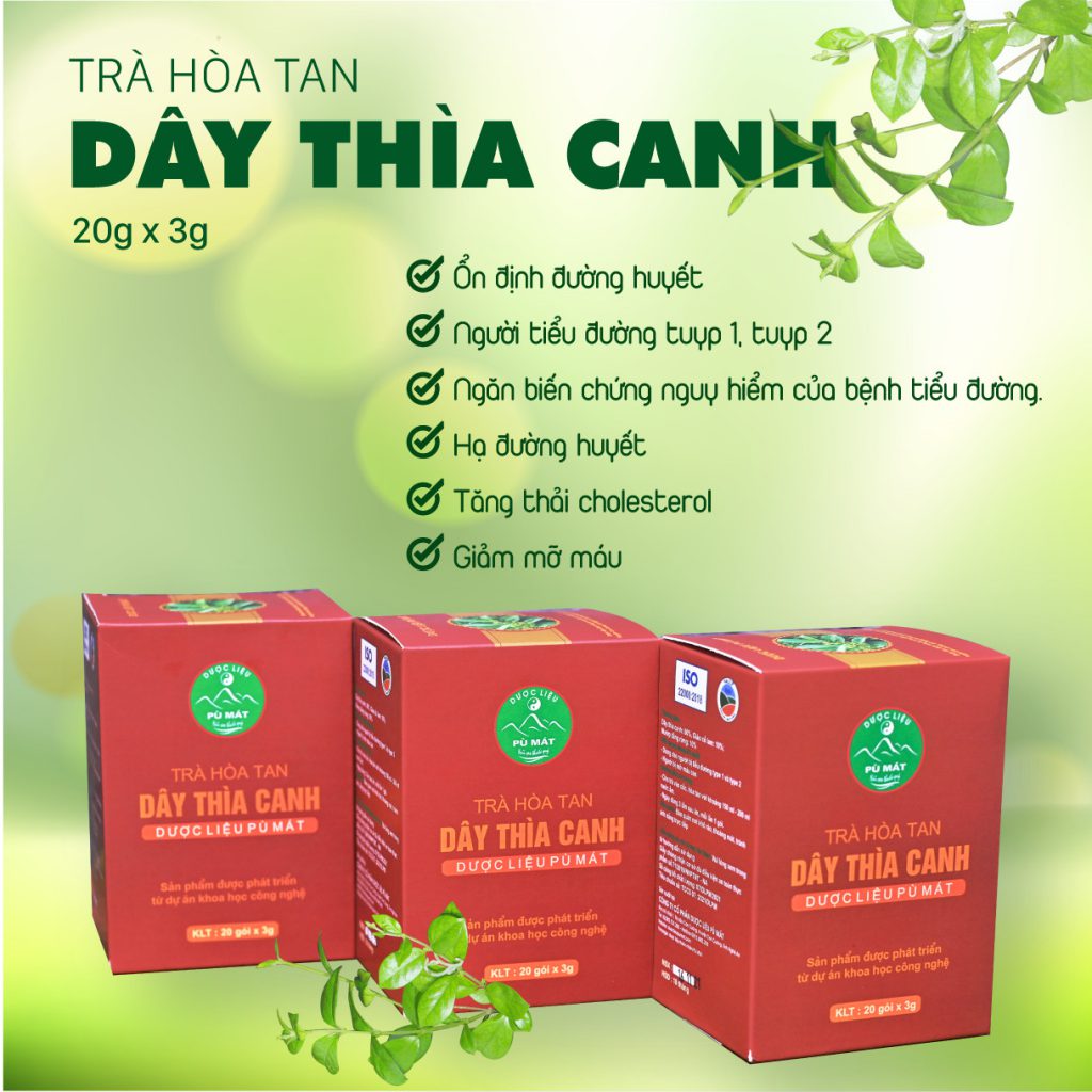Trà hòa tan Dây thìa canh - Hỗ trợ ổn định đường huyết và điều trị đái tháo đường tuýp 1 và tuýp 2