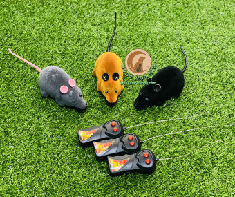 Đồ chơi Chuột con dễ thương điều khiển từ xa cho chó mèo