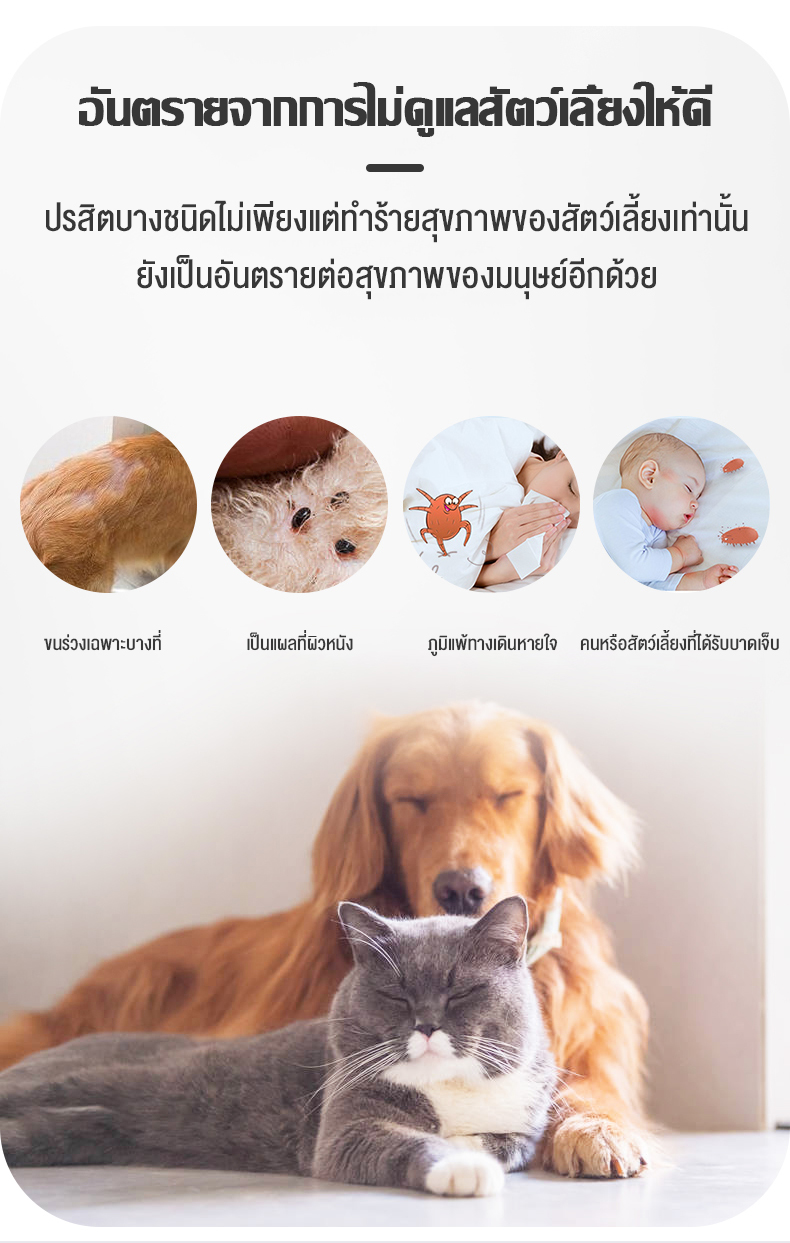 รูปภาพรายละเอียดของ 【ใช้ได้ทั้งแมวและสุนัข】YUGOGOสเปรย์ไล่เห็บหมัดสเปรย์กำจัดเห็บหมัดสำหรับสุนัข น้ำยาฆ่าเห็บหมัด  ยาหยอดเห็บหมัด นำ้ยากำจัดเห็บแมว  ยาหมาเห็บหมัด ยาไล่แมลงสัตว์เลี้ยง สูตรพืชปลอดภัยไร้สารอันตราย!
