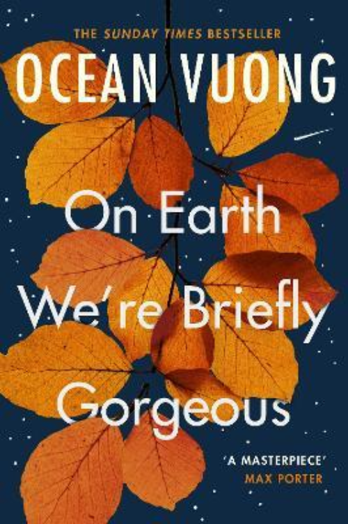 Tiểu thuyết tiếng Anh: On Earth We're Briefly Gorgeous (Ocean Vuong)