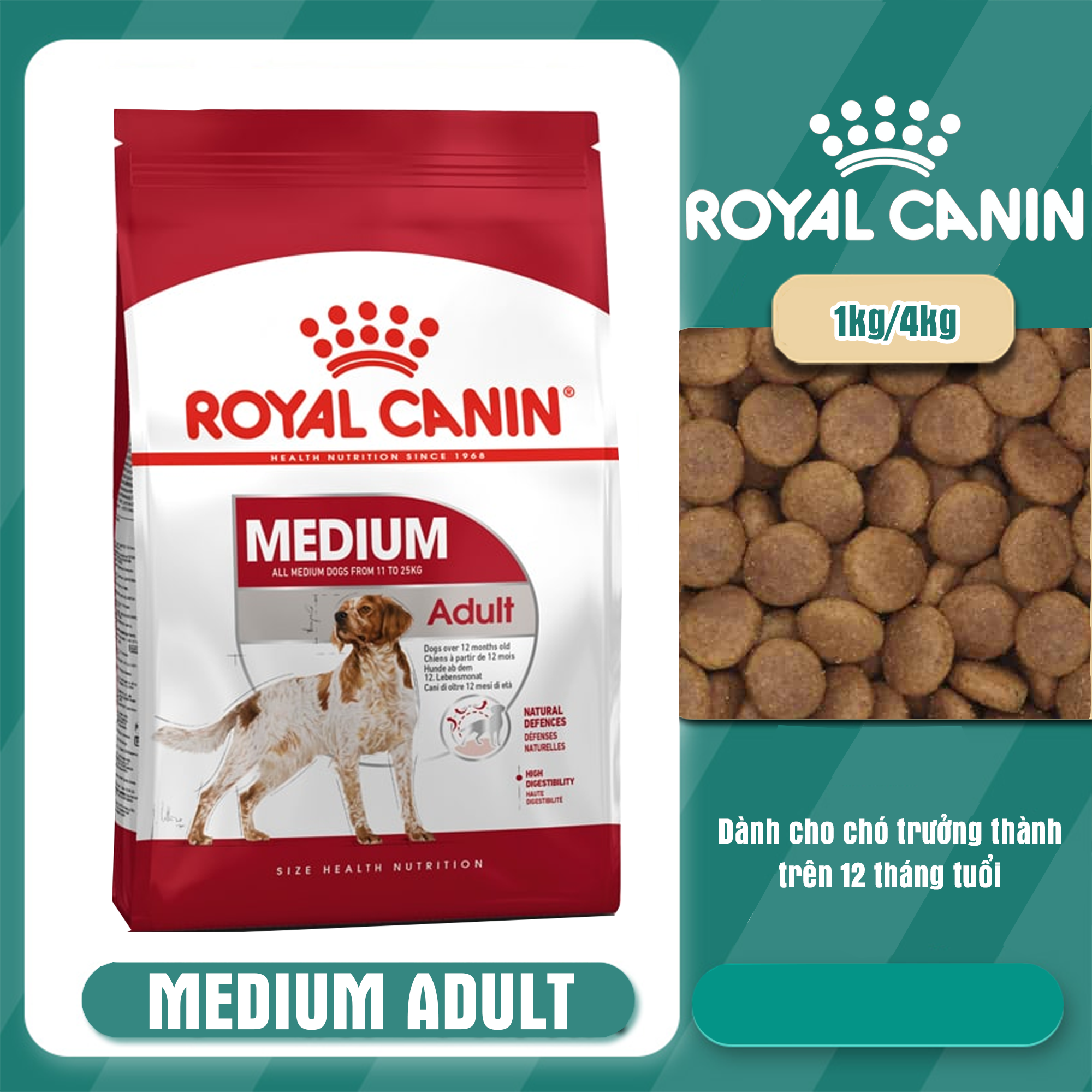 THỨC ĂN CHÓ ROYAL CANIN MEDIUM ADULT 1KG thức ăn hạt cho chó|Hạt khô cho chó| hạt cho cho chó giá rẻ| Thức ăn cho chó lớn| thức ăn cho chó con| cám chó giá rẻ|thức ăn chó phốc sóc| hạt chó alaska|thức ăn chó classic|dog food