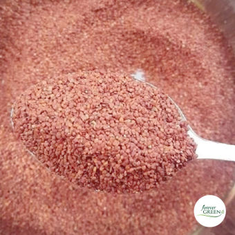 Hạt đình lịch (hạt ngũ hoa) dùng đắt mặt nạ loại hạt to cao cấp - M127 100gr - 500gr