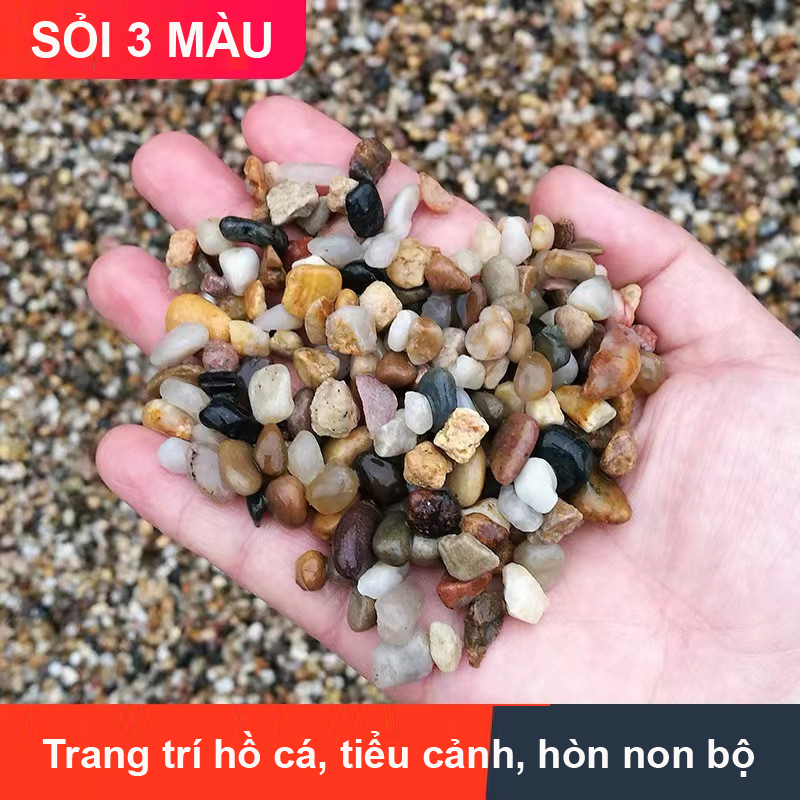 Sỏi suối 3 màu trang trí bể cá, hồ thủy sinh, tiểu cảnh, cây cảnh, chậu sen đá, xương rồng, hòn non bộ, lọc nước hồ cá 1.2KG
