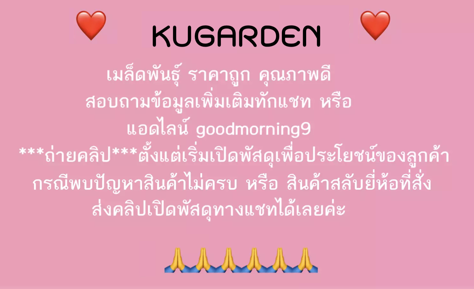 ผักกาดหอม เมล็ดขาว-1