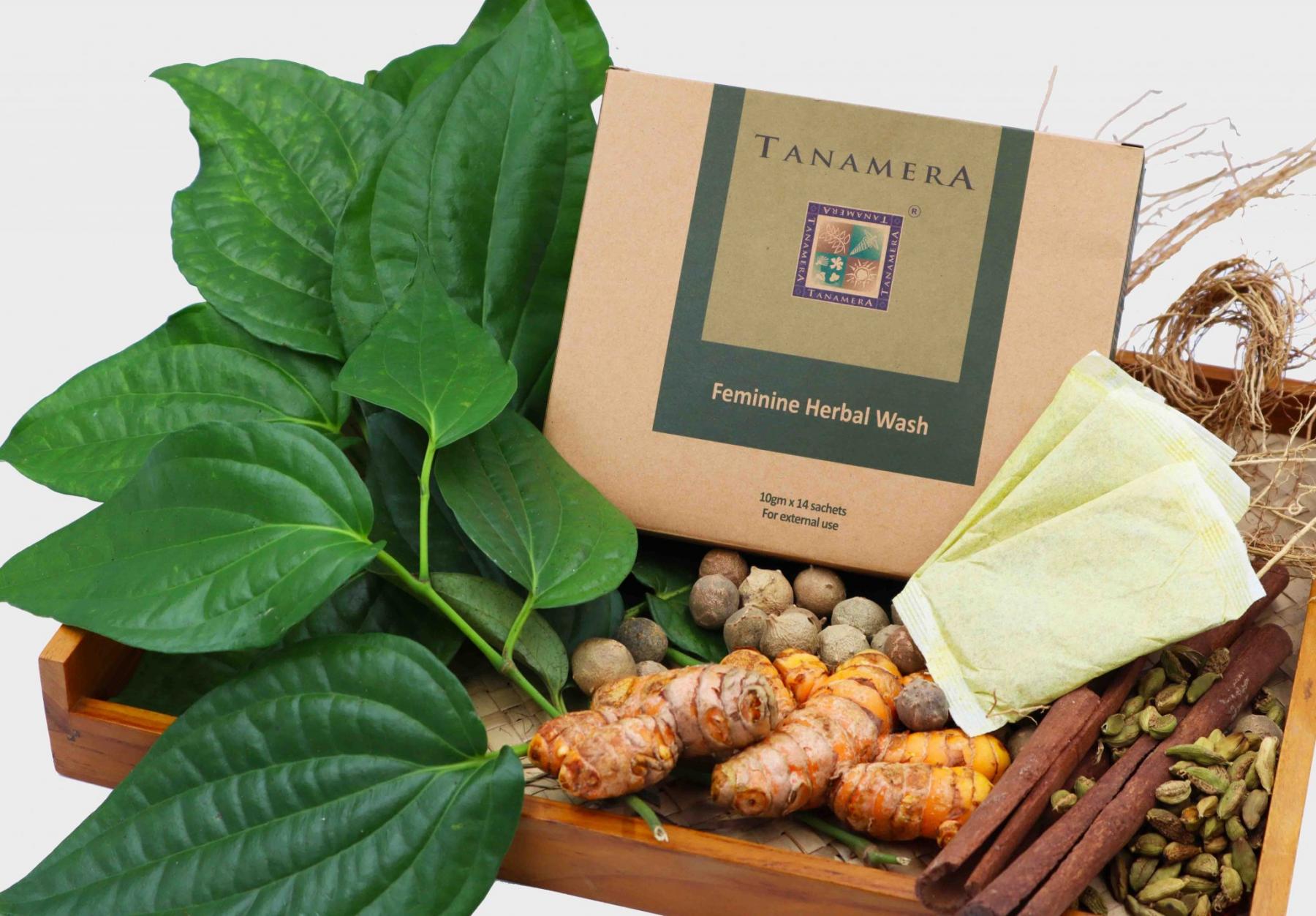 Thảo mộc vệ sinh phụ nữ Tanamera 14 gói
