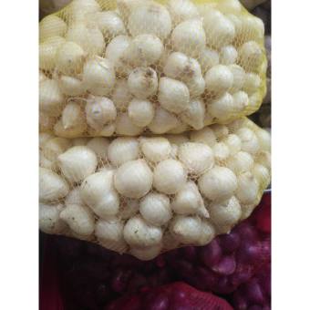 500g Củ ném ( củ nén , hành tăm , hành trắng loại 1 ) , ĐẶC SẢN QUẢNG TRỊ