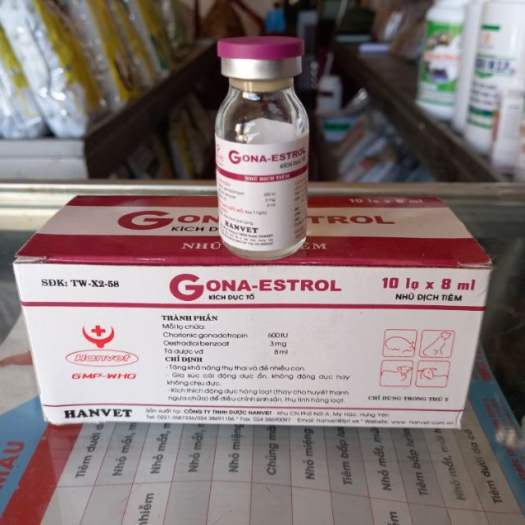 Gona estrol - giúp tăng khả năng thụ thai cho gia súc, sử dụng cho lợn, bò, dê, nghé, cừu,...