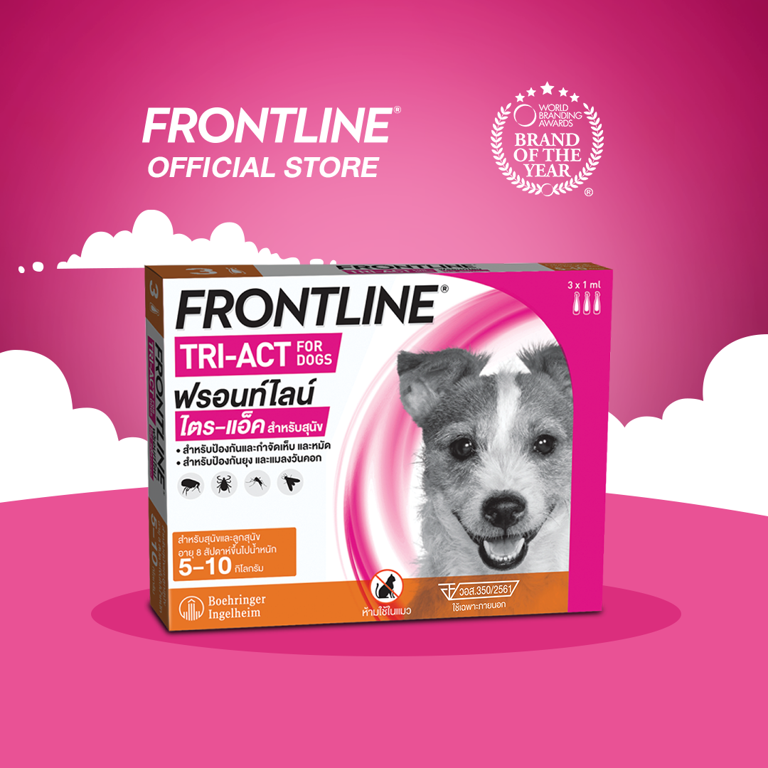 ใหม่ FRONTLINE TRI-ACT Size S สำหรับสุนัข 5-10 kg หยดตรงจุด หยุด ยุง เห็บ หมัด ฟรอนท์ไลน์ ไตร-แอ็ค ราคา 685 บาท*ส่งฟรี