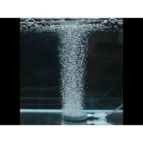 Đĩa sủi oxy 4cm, 6cm, 8cm, 10cm cho hồ cá bể cá thủy sinh
