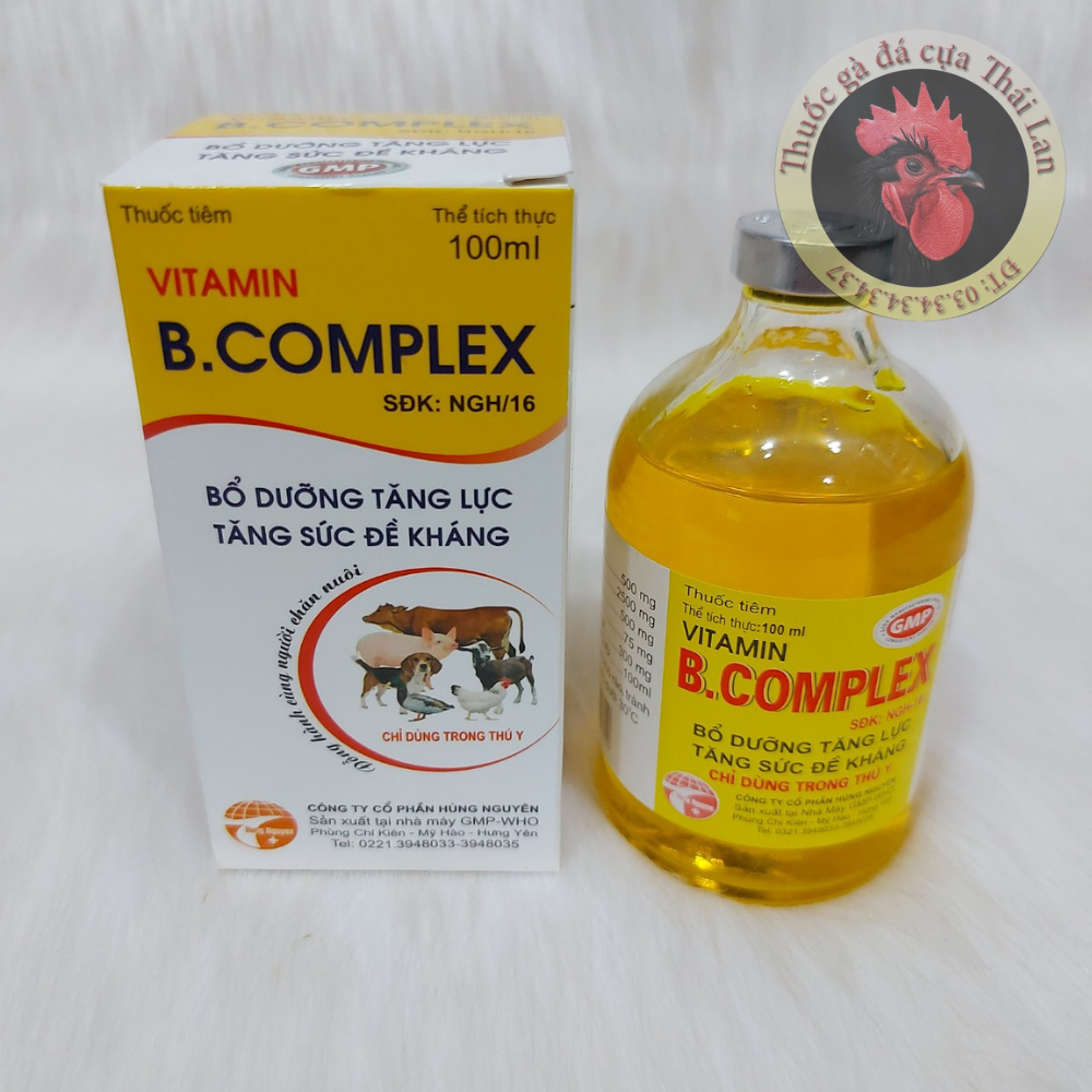 Vitamin B complex (bổ dưỡng tăng lực , tăng sức đề kháng) - 1 lọ / 100ml