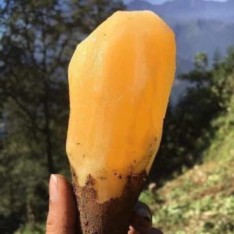 Combo 3kg khoai sâm đất ăn sống Lài Cai (4-5củ/1kg)