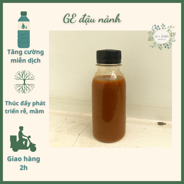 GE đậu nành, phân hữu cơ vi sinh, giúp kích rễ, cung cấp dưỡng chất tự nhiên cho hoa lan, hoa hồng, cây cảnh, cây hương liệu, Vườn Của An