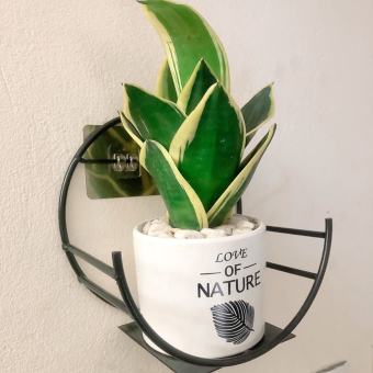 Giỏ Sắt Kệ Để Chậu Hoa Cây Cảnh Hình Bán Nguyệt Có Móc Dán Tường Chắn ChắnTiện lợi