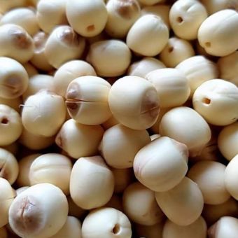 Sen Huế hạt tươi, chính gốc , siêu chất lượng, 1kg