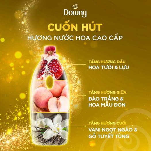 Nước xả vải Downy cuốn hút túi 1.35L/2.2L