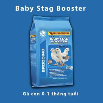 CÁM GÀ CON - CÁM GÀ TƠ (Baby Stag Booster) - Cám gà con Thunderbird