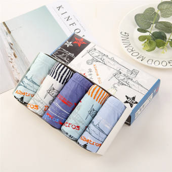 Set 5 quần lót bé trai cotton Hàn Quốc mẫu MÁY BAY ALBATROS-D11