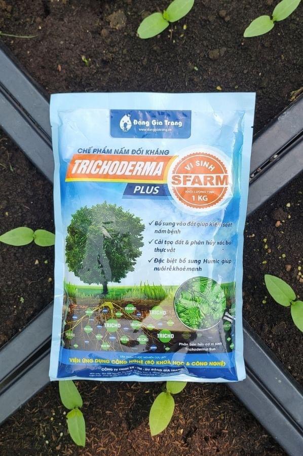 Chế phẩm men vi sinh nấm trichoderma loại 0.5 kg sfarm - ủ phân bón hữu cơ trồng rau sạch bằng đất sạch