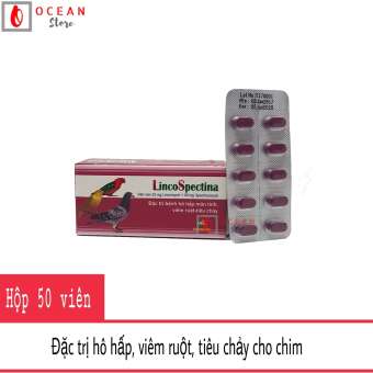 Thuốc đặc trị bệnh hô hấp, viêm ruột, tiêu chảy cho chim, gà đá - Linco Spectina