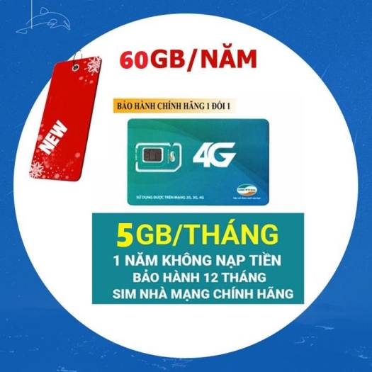 Sim Viettel vào mạng 1 năm D500 ( mua 1 lần dùng cả năm )