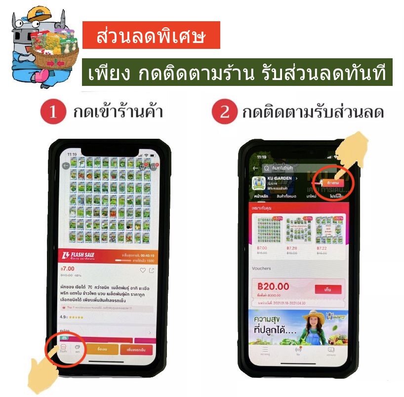 ผักกาดหอม เมล็ดขาว-3