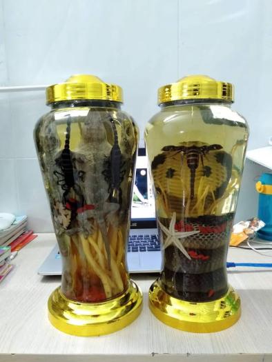 Tắc kè + bọ cạp Bình 5L  ngâm 2 cặp (tắc kè tươi dài 30cm) đảm bảo nguyên chất