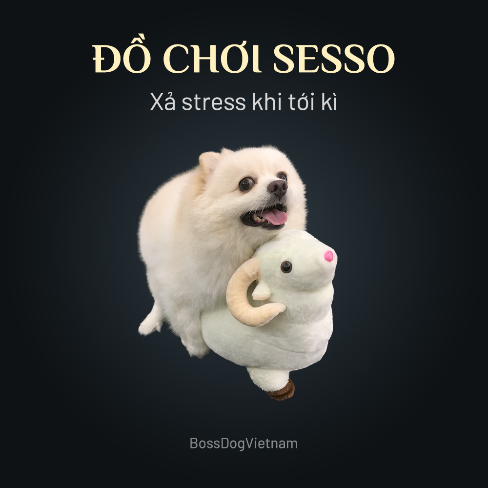 Đồ chơi thú bông tình yêu cho chó SESSO | BossDog