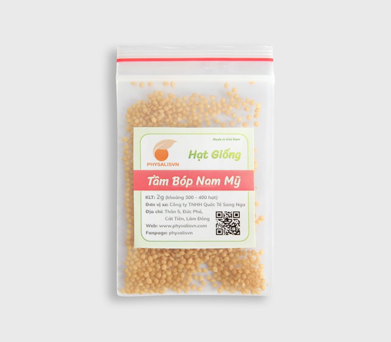 Hạt giống tầm bóp nam mỹ