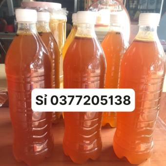 Mật ong rừng nguyên chất - ong  đất  (mật phong thổ lai châu