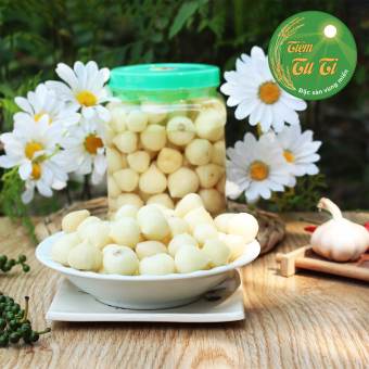 TỎI CÔ ĐƠN NGÂM CHUA NGỌT - Tỏi Cô Đơn Phú Yên Sơn La - Củ Nhỏ, Mẩy, Chắc Củ