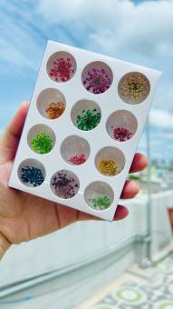 Hoa Khô Trang Trí Móng Set 12 Màu