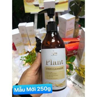 “Mẫu mới” Sữa Rửa Mặt Plant Stem CLEANSER Công Nghệ Sinh Học, Từ Dịch Chiết Tế Bào Thực Vật 250gr