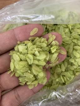 Cốm dẹp xanh loại to dày, ngon và thơm (cốm làng vòng món quà của tuổi thơ)