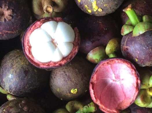 MĂNG CỤT Lái Thiêu đầu mùa tươi ngon chín đều không bị chai -1kg - Giao nhanh khu vực TP.HCM