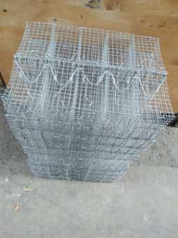 4 bẫy chuột nhắc , chuột đồng