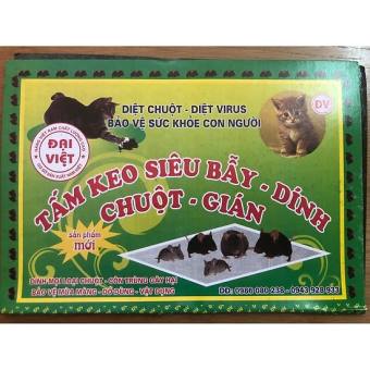 Combo 10 Bẫy dính chuột gián Đại Việt bẫy chuột hiệu quả diệt chuột an toàn