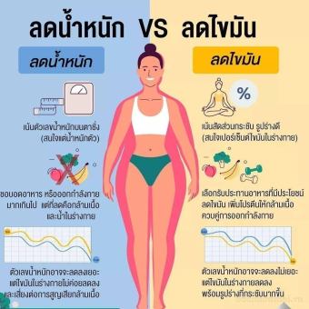 viên Slim Fast Thái