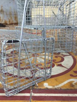 Set 02 Bẫy chuột cống nhum, Sóc MÓC không rỉ sét