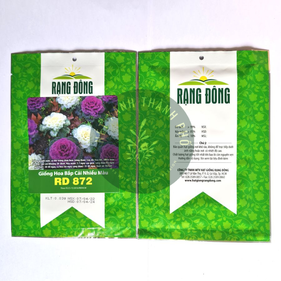 Hạt giống rau Bắp Cải hoa hồng, bắp cải nhiều màu, hoa hồng sa mạc