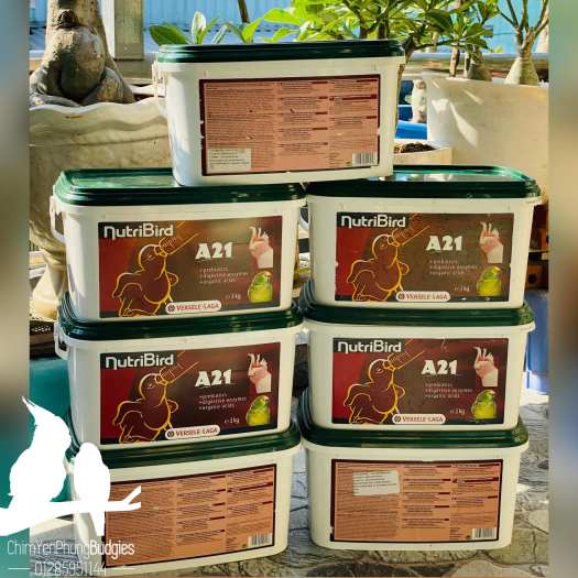 200Gr Bột NutriBird A21 giàu dinh dưỡng cho vẹt non - XUẤT XỨ: BỈ_date mới.
